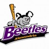 Alexandria Beetles, from Alexandria MN