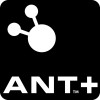 Ant Alliance, from Calgary AB