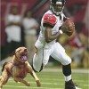 michael vick