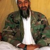 Osama Laden, from New York NY