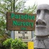Paradise Nursery, from Indianapolis IN