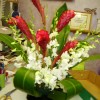 Jk Flowers, from Belleair Bluffs FL